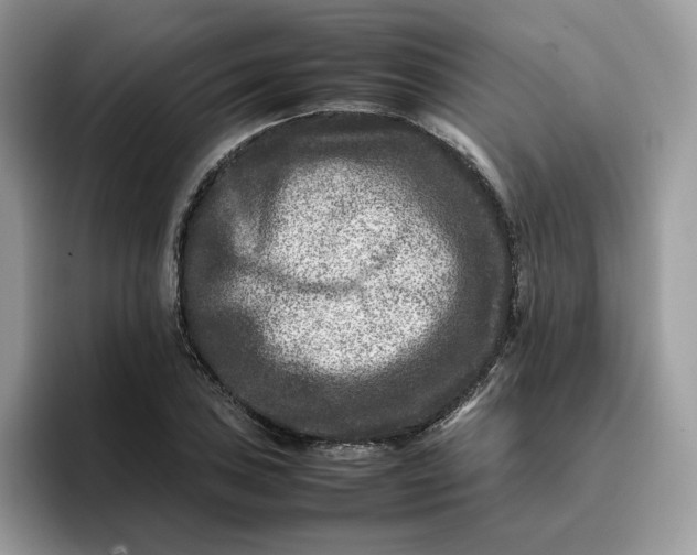 X0000095941027200801251106