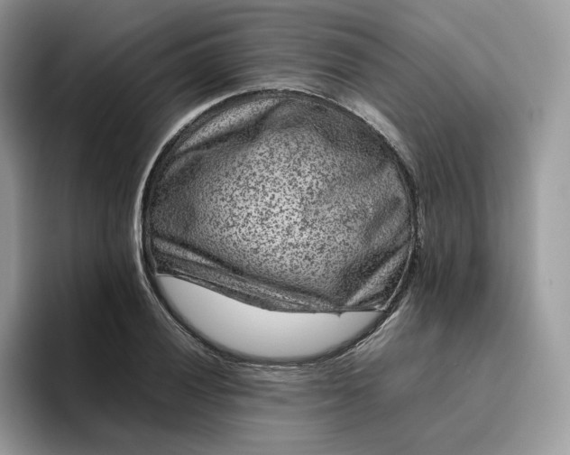 X0000095941028200801251106
