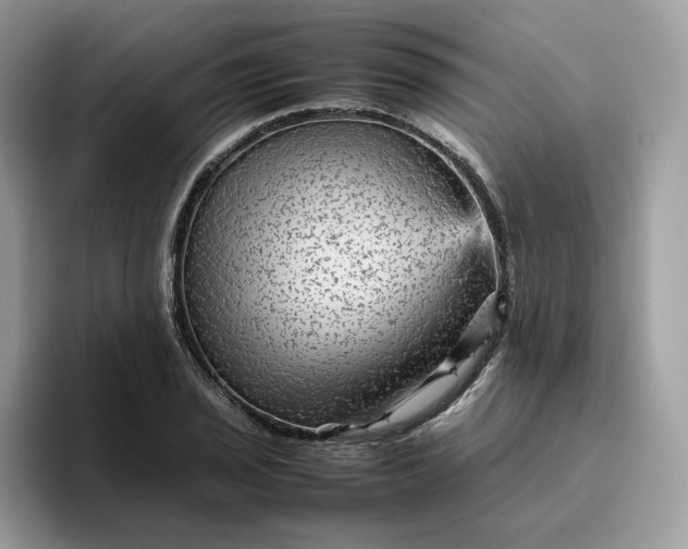 X0000095941029200801251106