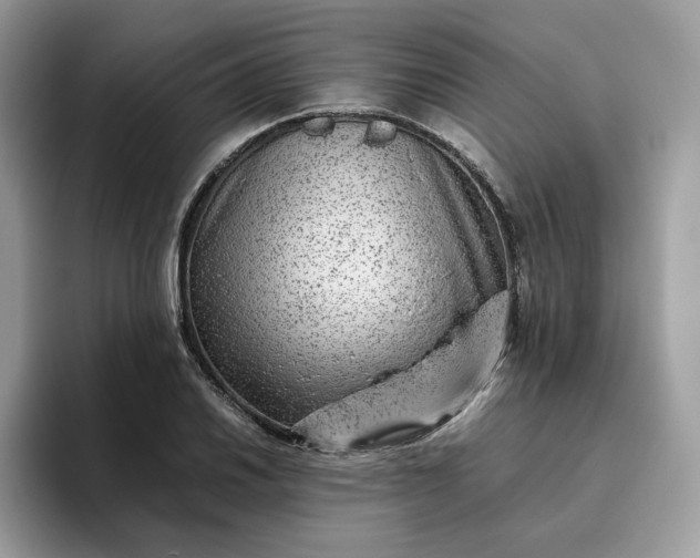 X0000095941030200801251106