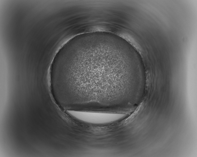 X0000095941031200801251106