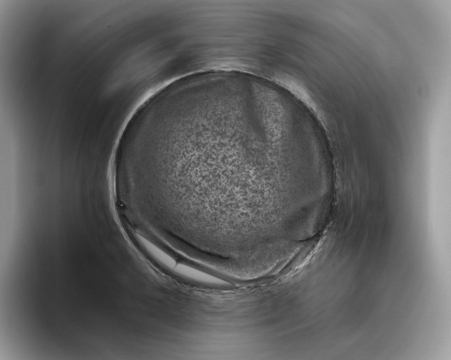 X0000095941032200801251106
