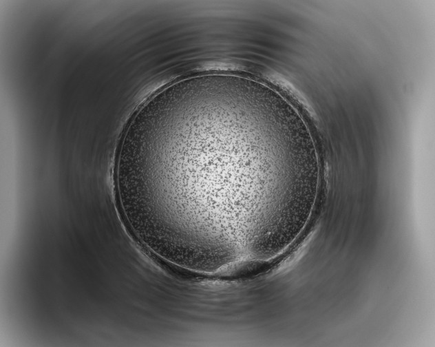 X0000095941033200801251106