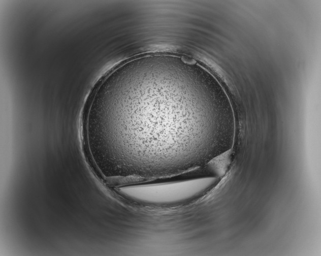X0000095941034200801251106