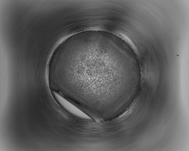 X0000095941035200801251106