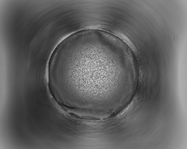 X0000095941036200801251106