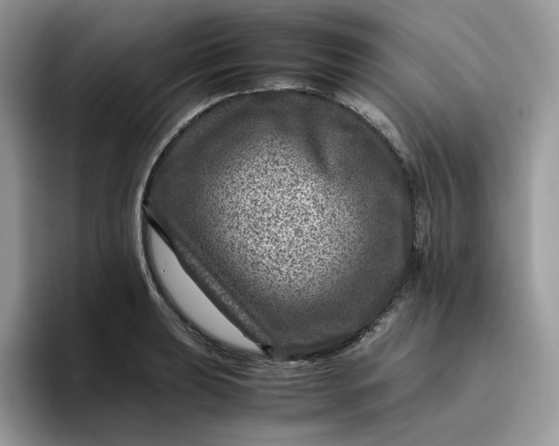 X0000095941039200801251106