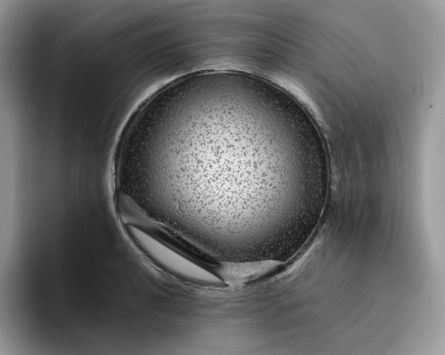X0000095941040200801251106