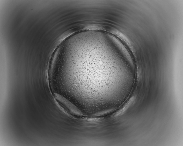 X0000095941041200801251106