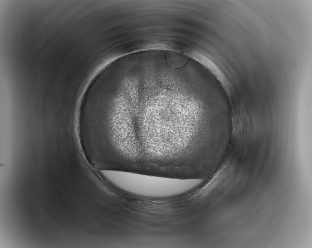 X0000095941043200801251106