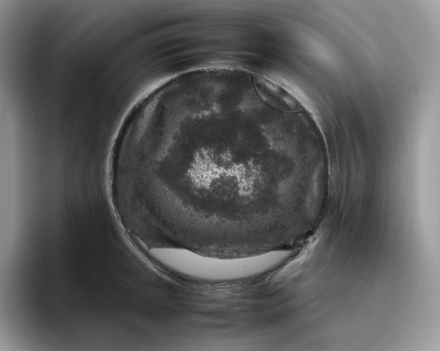 X0000095941045200801251106