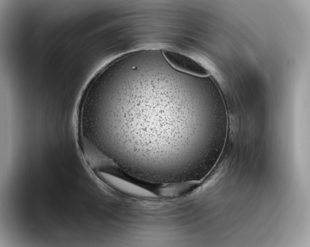 X0000095941046200801251106