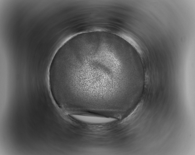 X0000095941047200801251106
