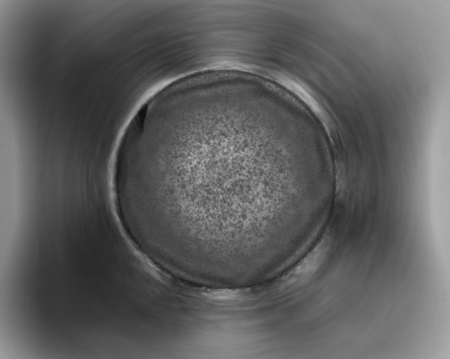 X0000095941048200801251106
