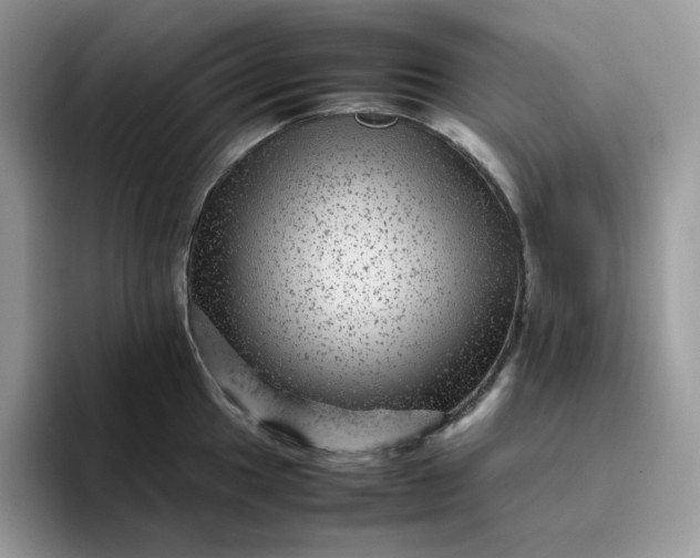 X0000095941049200801251106