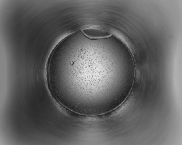 X0000095941050200801251106
