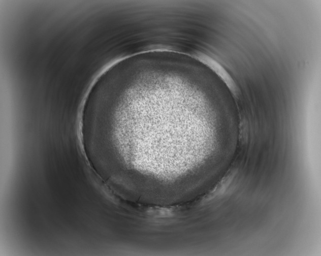 X0000095941051200801251106