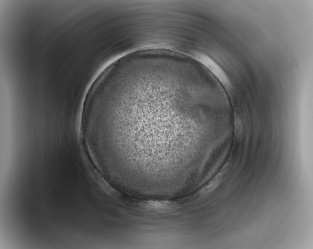 X0000095941052200801251106