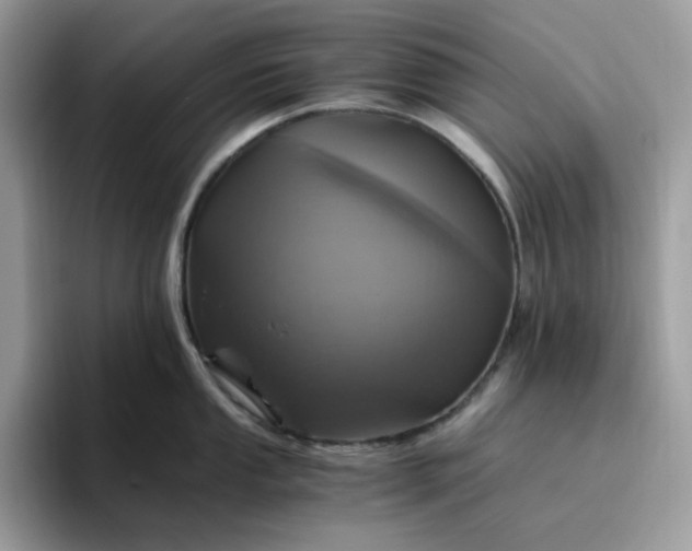X0000095941053200801251106