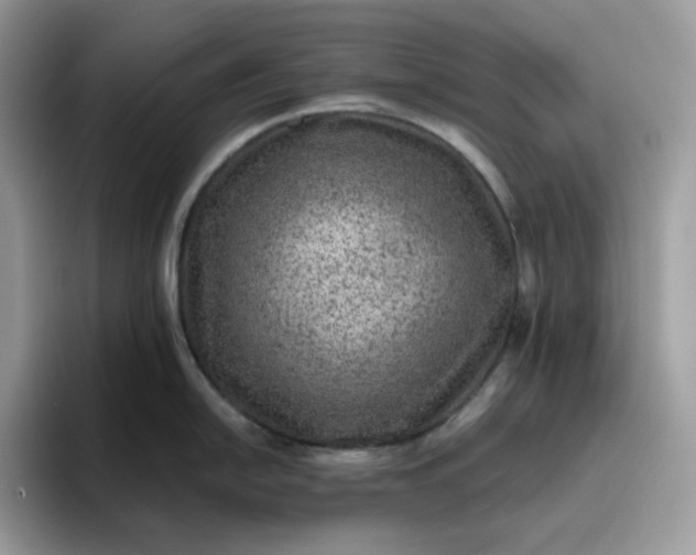 X0000095941054200801251106