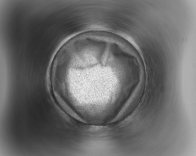 X0000095941056200801251106