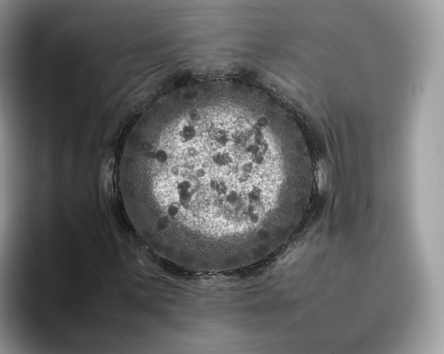 X0000095941059200801251105