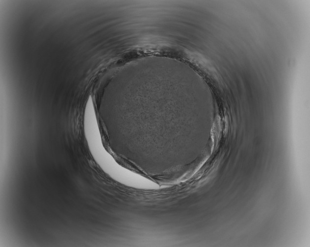 X0000095941060200801251105