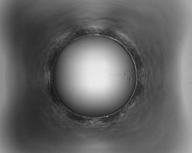 X0000095941061200801251105