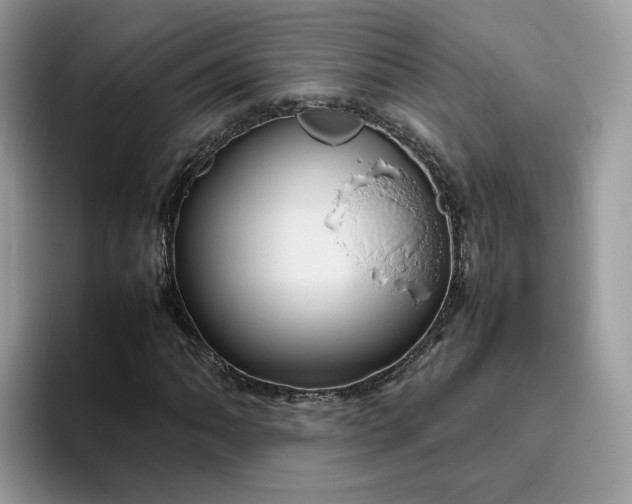 X0000095941062200801251105