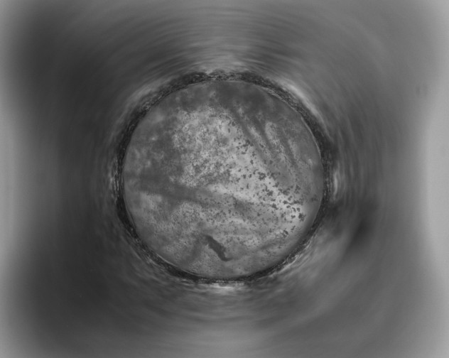 X0000095941063200801251105