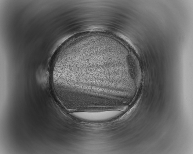 X0000095941066200801251105