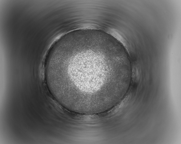 X0000095941067200801251105