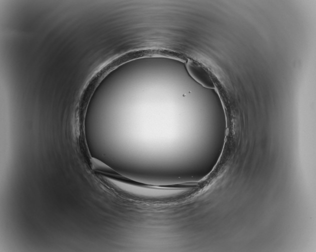 X0000095941069200801251105