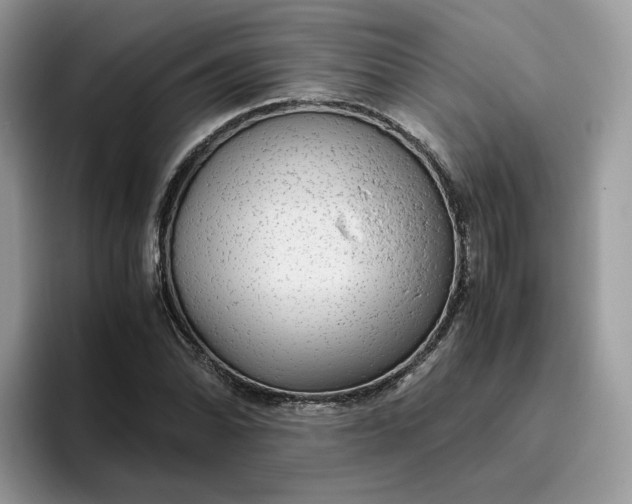 X0000095941070200801251105