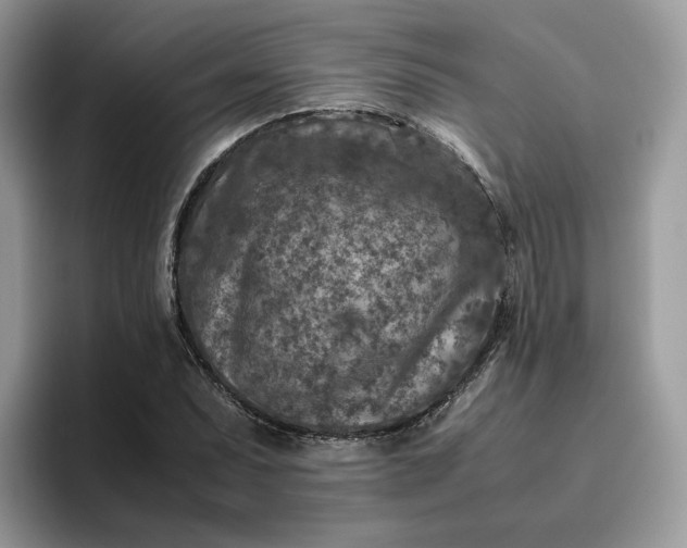 X0000095941071200801251105