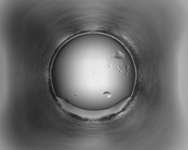 X0000095941073200801251105