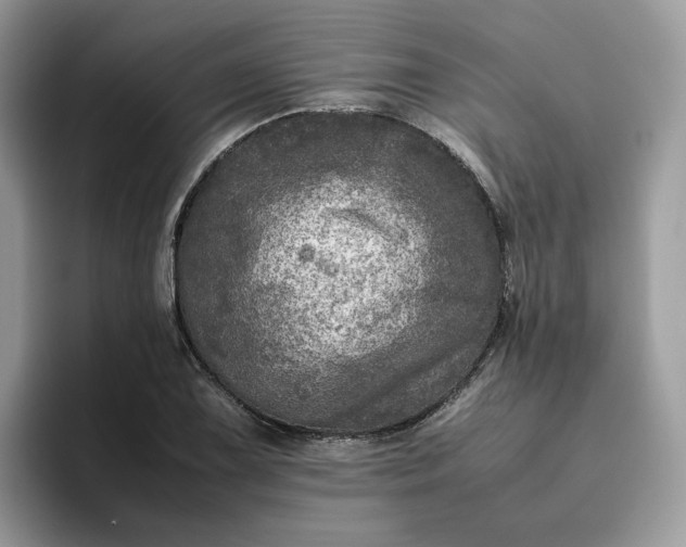X0000095941075200801251105