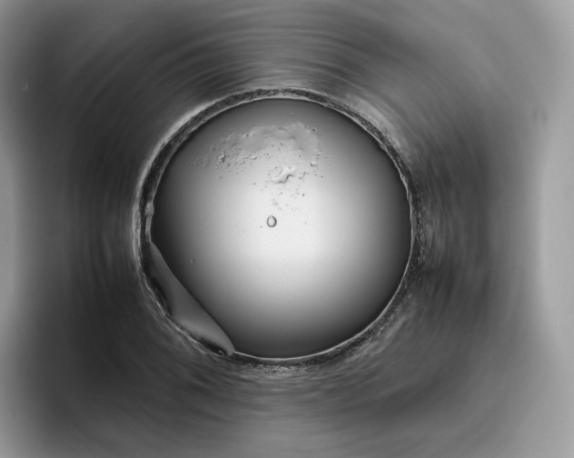 X0000095941076200801251105
