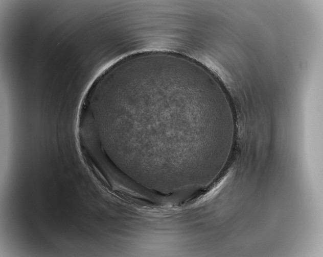 X0000095941077200801251105