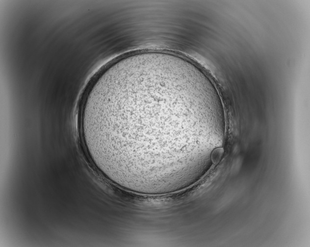 X0000095941078200801251105