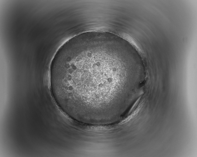 X0000095941079200801251105