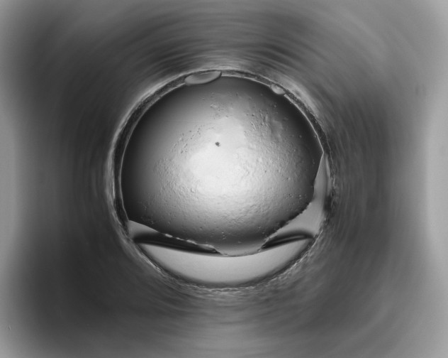 X0000095941080200801251105