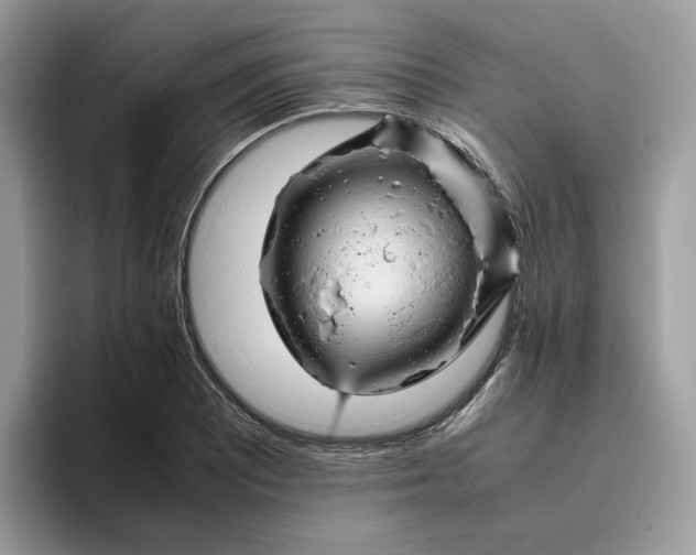X0000095941081200801251105
