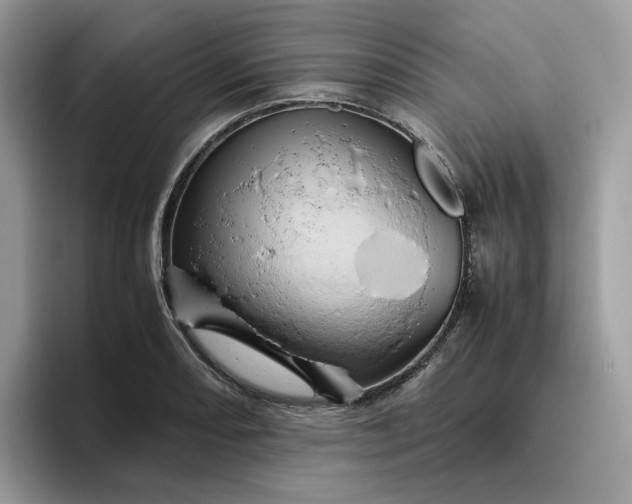 X0000095941082200801251105