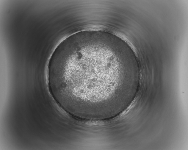 X0000095941083200801251105
