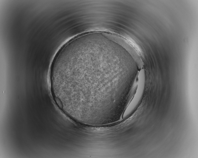 X0000095941084200801251105