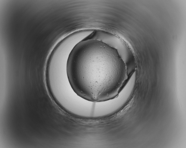 X0000095941085200801251105