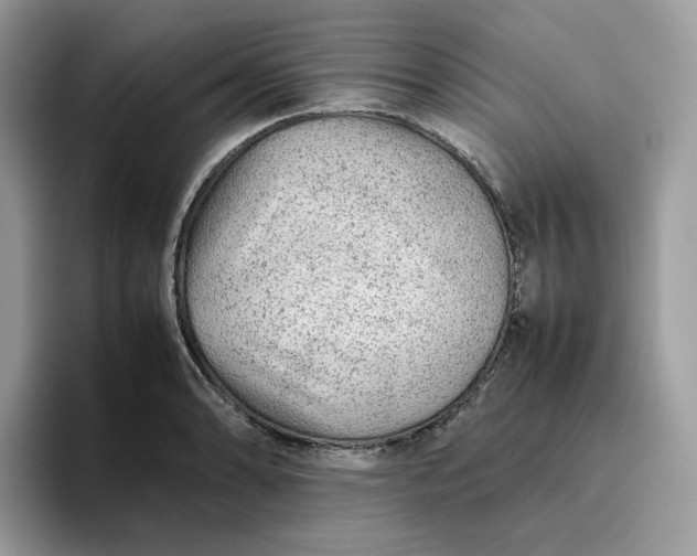 X0000095941086200801251105
