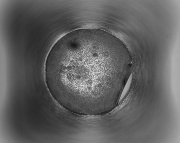 X0000095941087200801251105