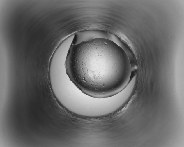 X0000095941089200801251105